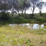 Entre A Serra E O Mar - Casa Rosas De Barao * Barão de São João