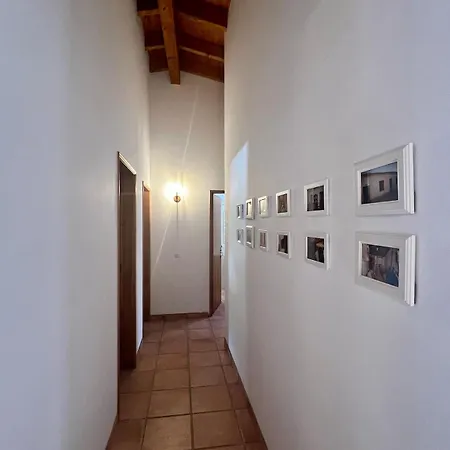 Ferienhaus Entre A Serra E O Mar - Casa Rosas De Barao