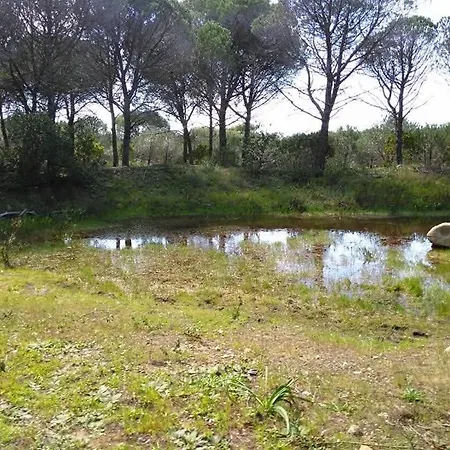 Casa Rosas De Barao * Barao de Sao Joao